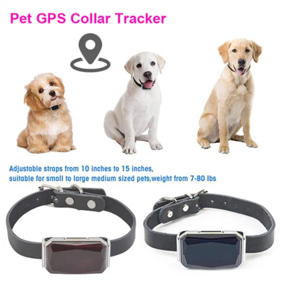 Nouveau lancement usine chinoise résistance à l'eau longue durée de vie de la batterie 2G GPS Tracker gadget pour animaux de compagnie chien chats chiots Y31